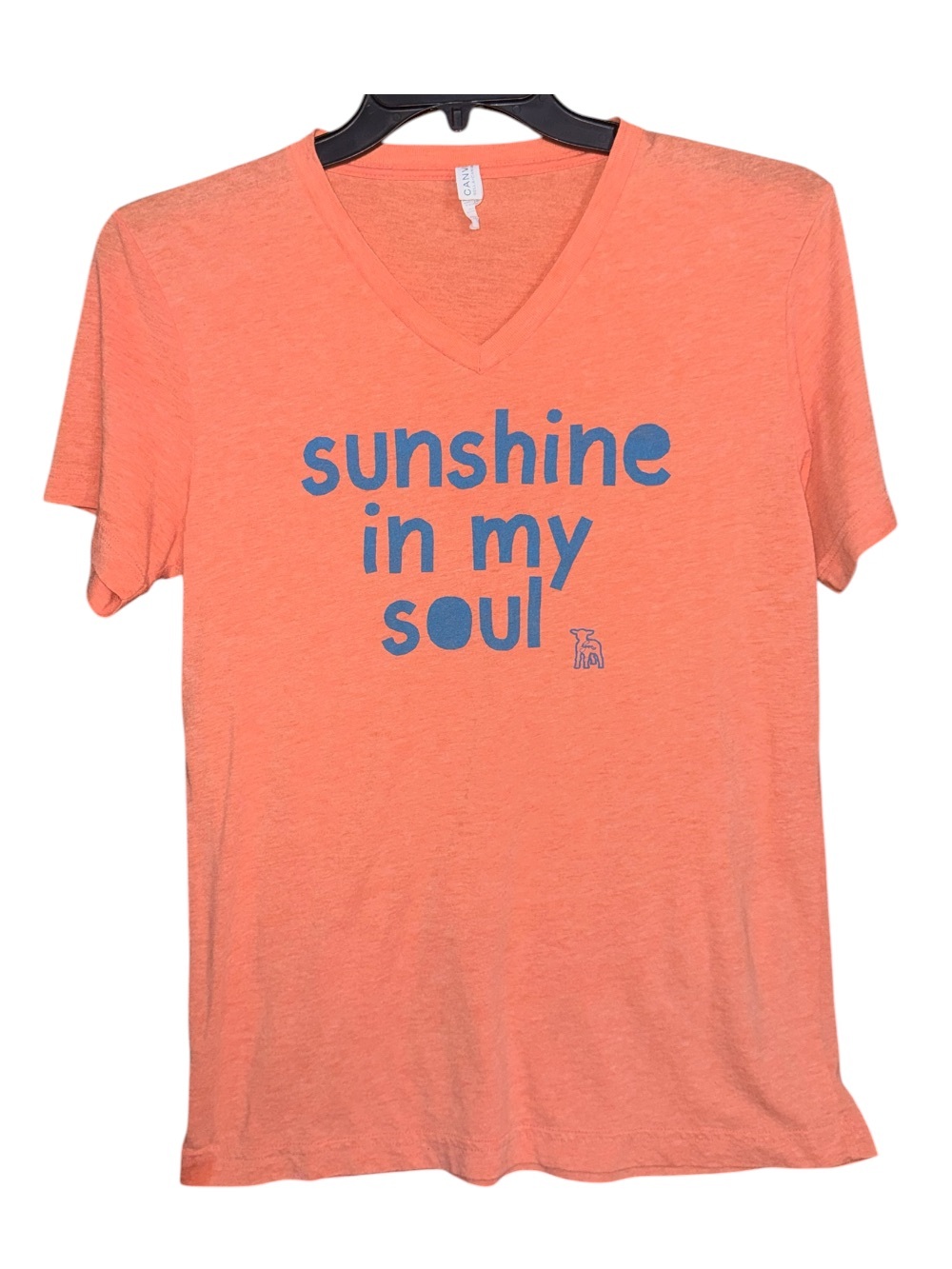 Trendy boutique Coral 'Sunshine in My Soul' V-Neck Tee